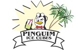 Back to Grupo Pinguim