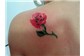 Rosa Tatuagem