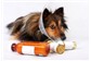 Remédios para Cachorros no Edson Queiroz