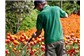 Terceirização de Jardineiro para Condomínio