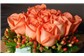 Rosas em Caixa de Madeira