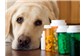 Farmácia para Animais na Aldeota 