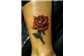 Rosa Tattoo