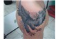 águia tattoo