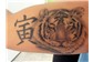 Tatuagem de Tigre